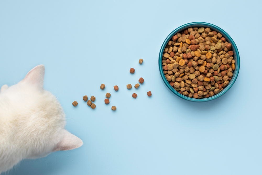 : Félins énigmatiques : L'allure mystérieuse des chats domestiques