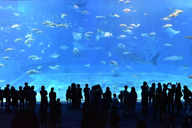 aquariums impressionnants