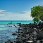 a couple of people standing on top of a rocky beach