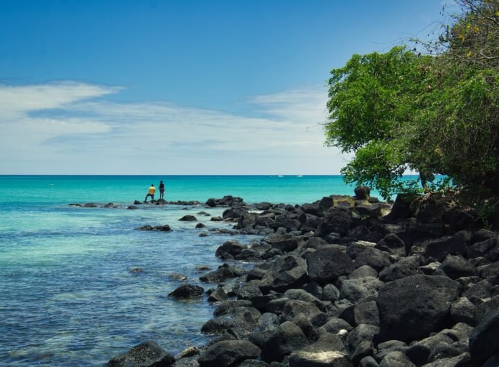 a couple of people standing on top of a rocky beach