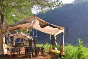 Tentes de moustiquaire avec tables et chaises en bois, lieu de camping en forêt