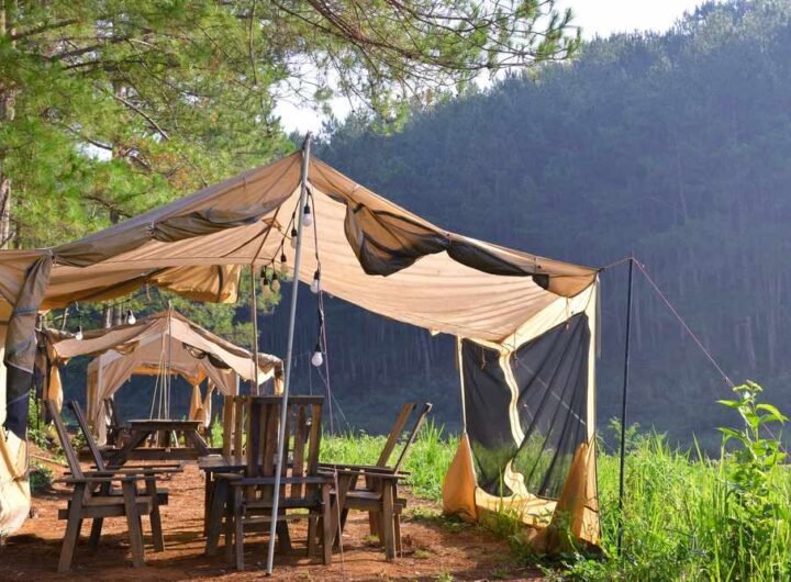 Tentes de moustiquaire avec tables et chaises en bois, lieu de camping en forêt