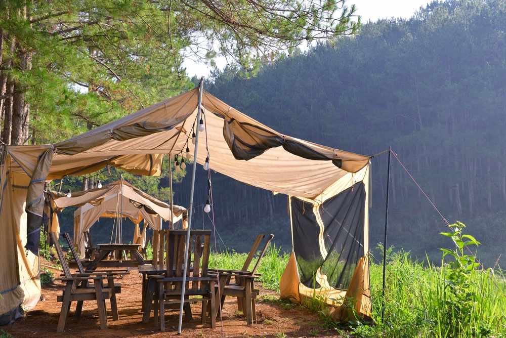 Tentes de moustiquaire avec tables et chaises en bois, lieu de camping en forêt