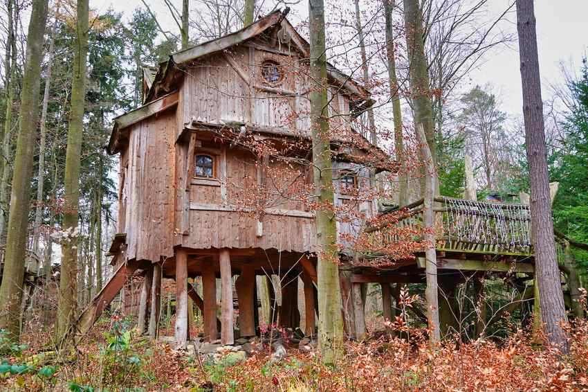 Cabane en bois sur pilotis dans un bois avec un ponton Cabane en bois sur pilotis dans un bois avec un ponton